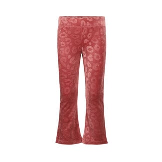 Koko Noko Koko Noko, Treggings, flared - Merlot