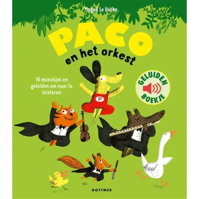 Paco en het orkest (geluidenboekje) 3+