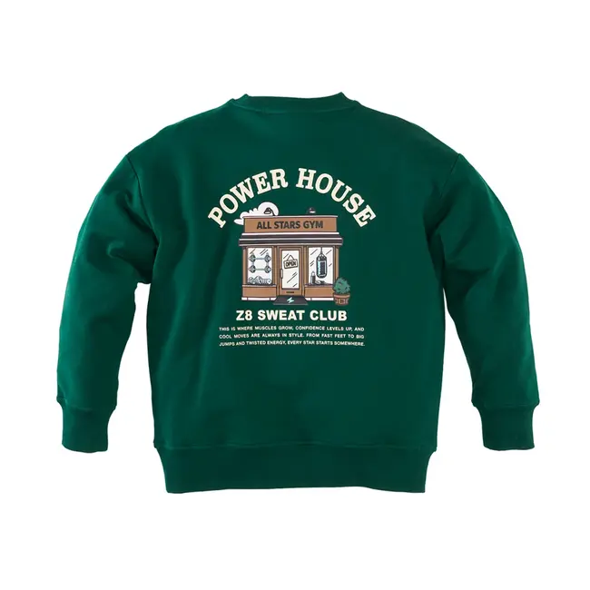 Z8 kids, Sweater Felix - Easy emerald