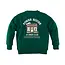 Z8 kids, Sweater Felix - Easy emerald