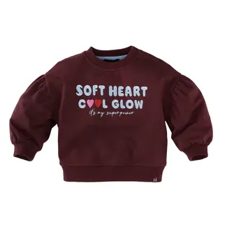 Z8 mini Z8 mini, Sweater Simay - Berry brave