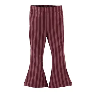 Z8 mini Z8 mini, Broek Willow - Berry brave