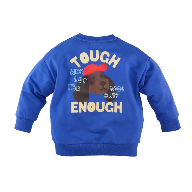 Z8 mini, Sweater Vinz - Electric blue