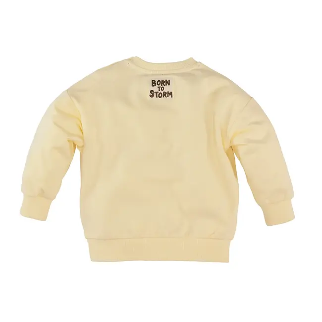 Z8 mini, Sweater Maarten - Butter yellow