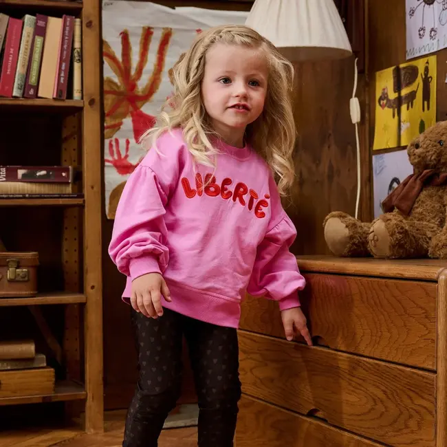 Z8 mini, Sweater Suki - Pink power