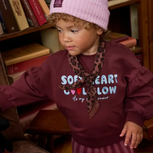 Z8 mini, Sweater Simay - Berry brave