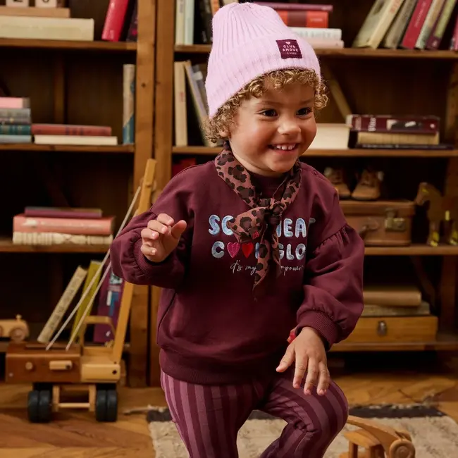 Z8 mini, Sweater Simay - Berry brave