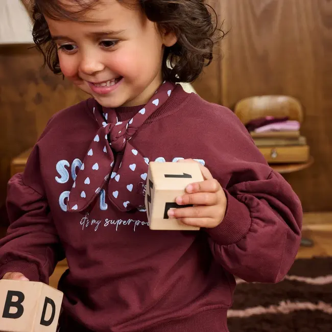 Z8 mini, Sweater Simay - Berry brave