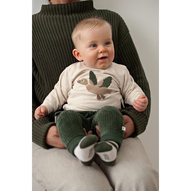 Feetje , Sweater - Wiggle and Waddle - Offwhite melange