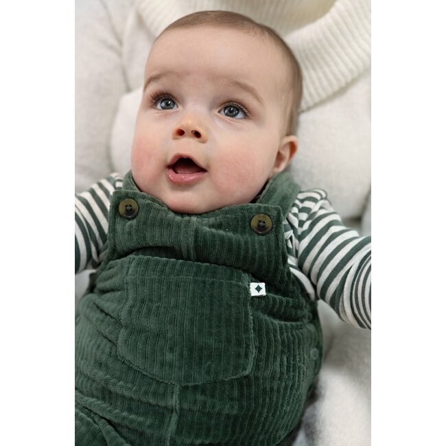 Feetje , Longsleeve rib met streep - Wiggle and Waddle - Groen