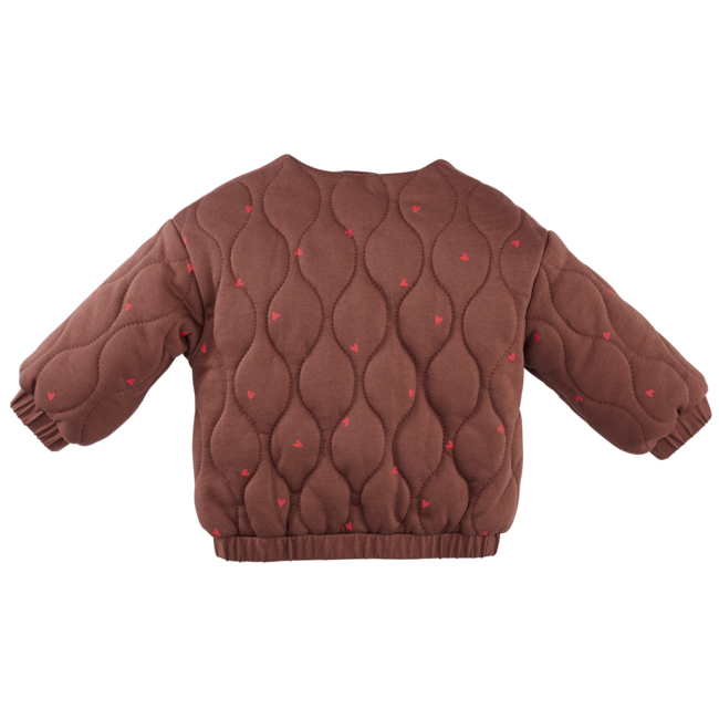 Z8 newborn, Ember Vest - Autumn teddy