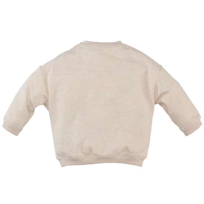 Z8 newborn, Beau Sweater - Beige melange
