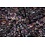 SALE Chiffon stof zwart met paarse bloemen
