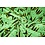 Coupon 624 Viscose tricot groen met donkerblauwe bladeren 170 x 145 cm