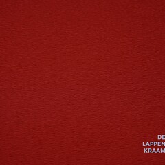  Coupon 954 Bubble rood 170 x 140 cm