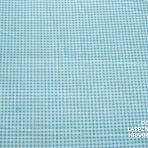 Flanel met blauwe miniruit