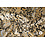 Coupon 40 Punta lichtgeel met dierenprint 170 x 150 cm