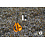 Coupon 39 Punta grijs met geel dierenprintje 170 x 150 cm