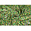 Coupon 32 Viscose stretch met groene verfvlekjes 170 x 150 cm