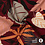 Viscose crepe stof met groot bloem en bladpatroon bordeaux
