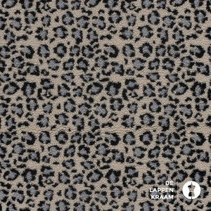  Kortgeschoren Teddy in ecru met grijs  en blauw