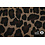 Grote panterprint bruin