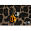 Grote panterprint bruin