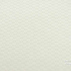 Veiling 2 september Coupon 655 Punta roomwit gestikt in mini ruitjespatroon 170 x 150 cm