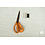Veiling 2 september Coupon 660 Punta roomwit gestikt in vlekkenpatroon 170 x 150 cm