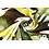 Viscose stof met gevlekt dessin lime