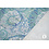Stretchkatoen stof met groen/blauw paisley dessin