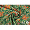 Crepe stof groen met kleurrijke bloemen
