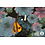 Polyester stretch zwart met aquarel bloemen