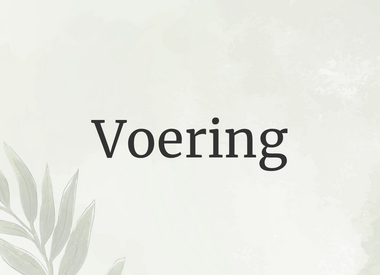 Voering