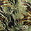Punta di Roma Stof Groene Camouflage