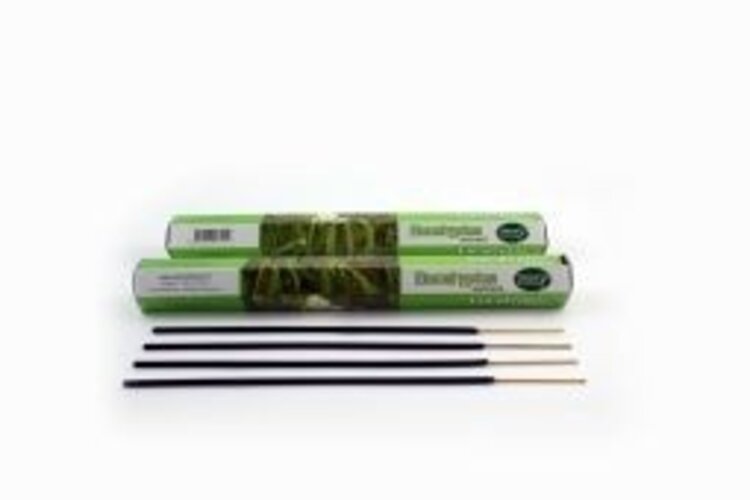 Nature's Incense Eucalyptus