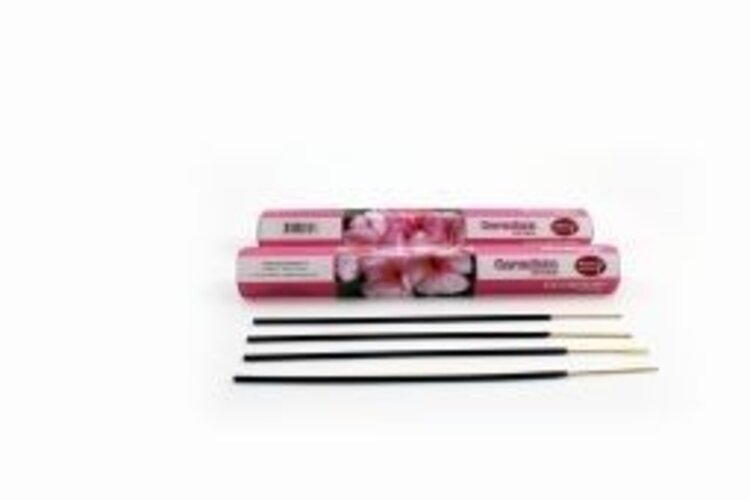 Nature's Incense Geranium