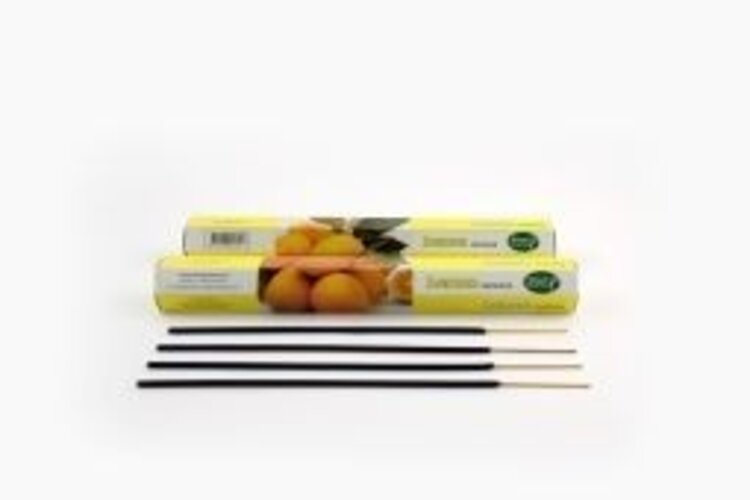 Nature's Incense Citroen