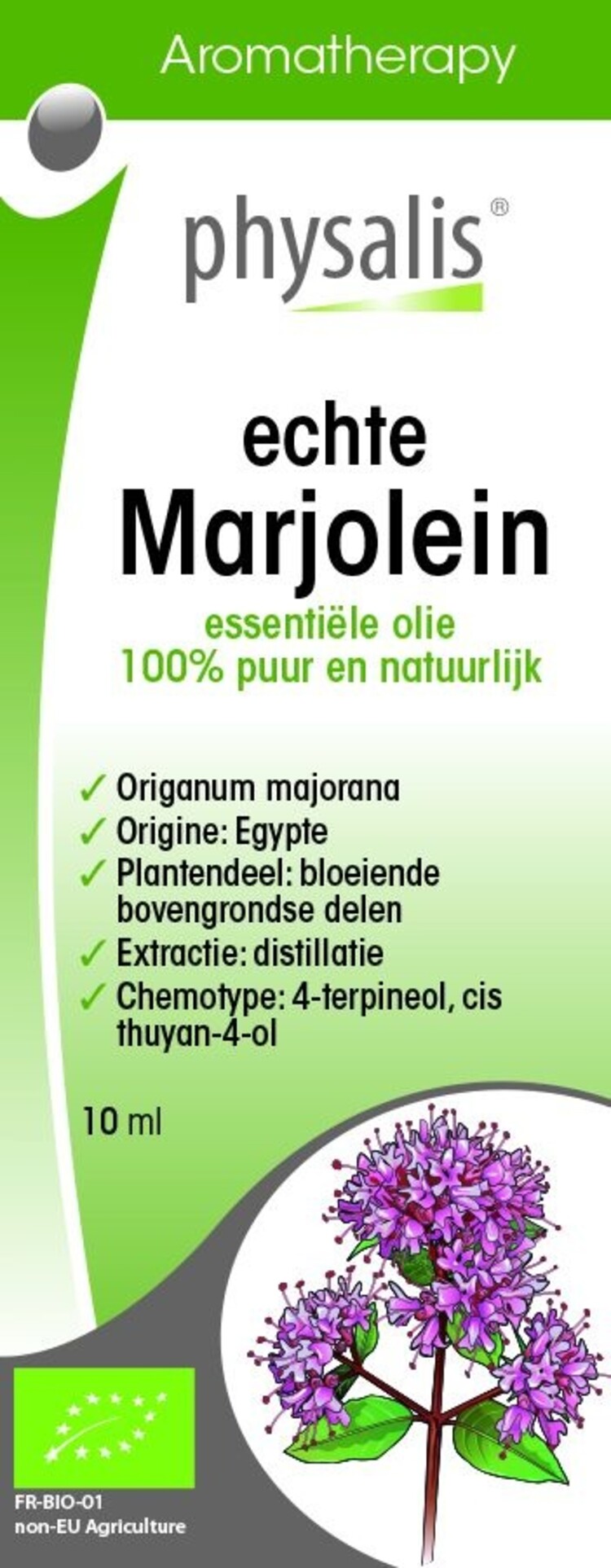 Physalis Physalis Marjolein