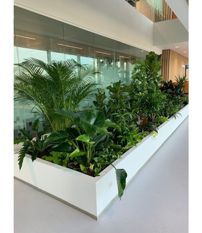 Indoor planters