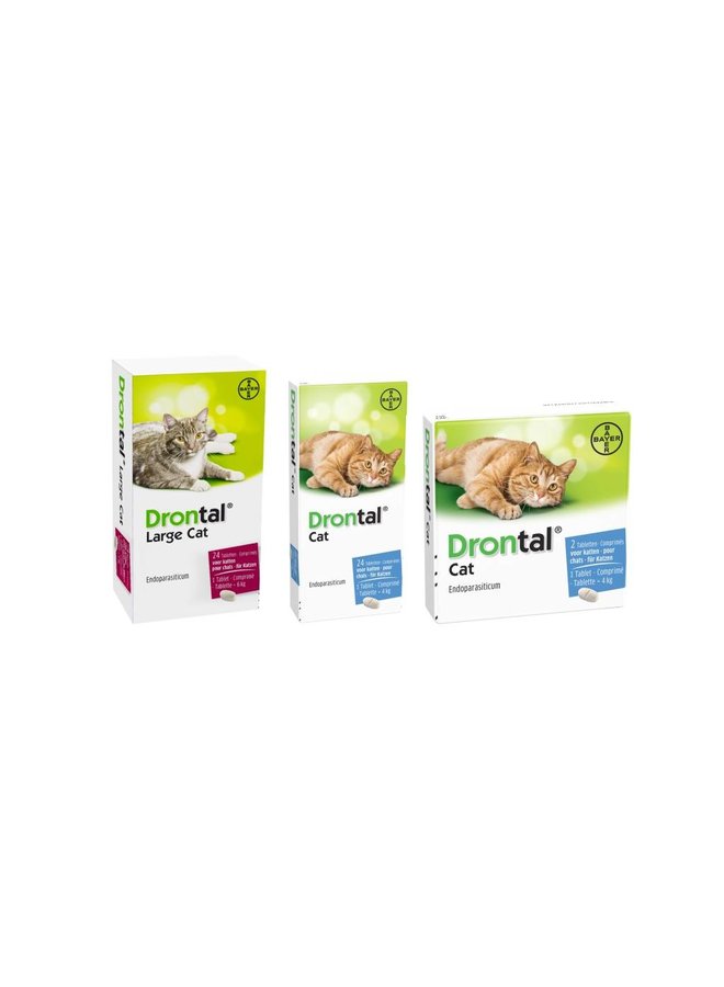 Drontal For Cats Uses Dosage And Side Effects My Pet Needs That