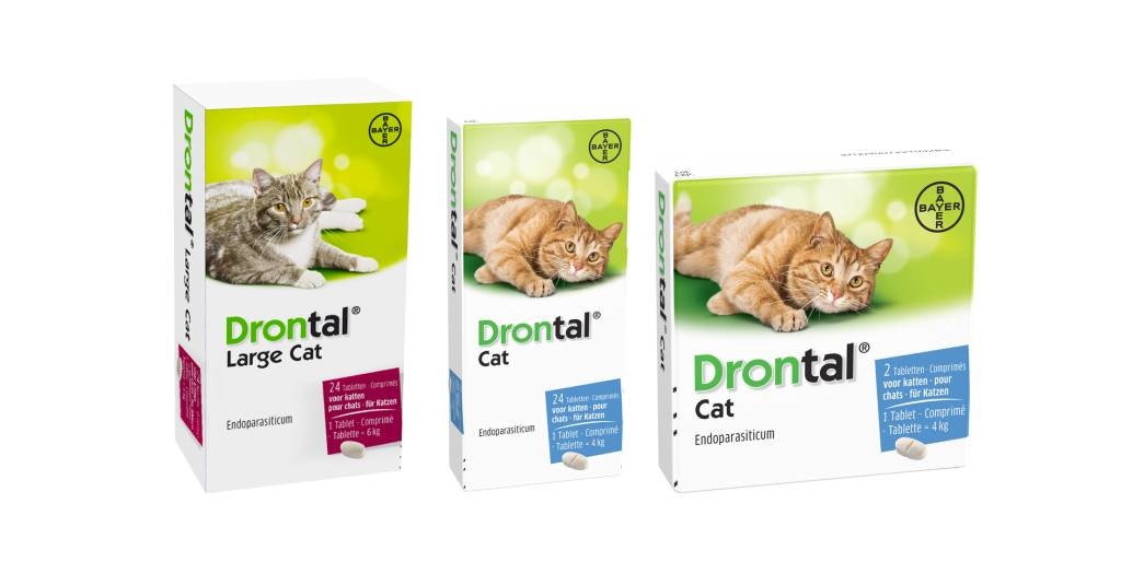 drontal cat