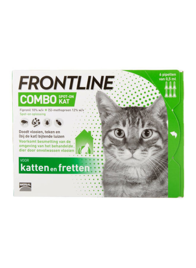 frontline combo kitten