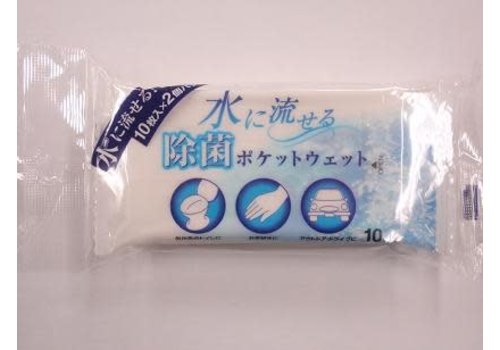 Water-soluble anti-bacterial wet wipes 10s : PB 