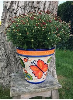 Spanish Flower Pot Mariposa
