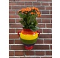 Hanging Flower Pot Arcoiries