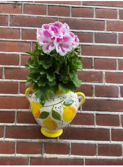 Hanging Flower Pot Limones