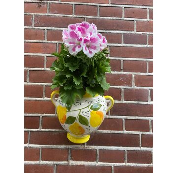 Hanging Flower Pot Limones