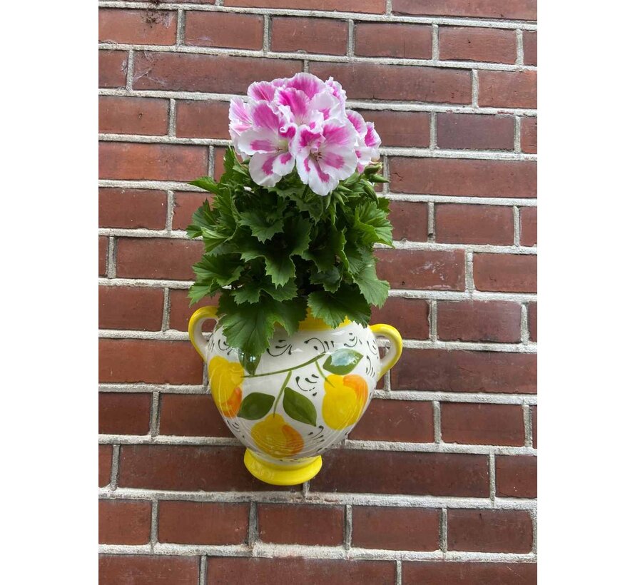 Hanging Flower Pot Limones