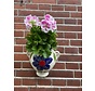 Hanging Flower Pot Flor Mogan Azul